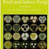 Food and Indoor Fungi