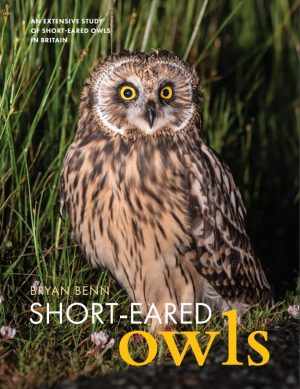 Short-Eared Owls - an extensive study of short-eared owls in Britain