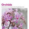Grow Orchids: Essential Know-how and Expert Advice for Gardening Success