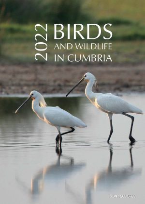 Birds in Cumbria 2022 book cover