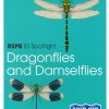 RSPB ID Spotlight - Dragonflies and Damselflies