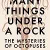 Many Things Under a Rock: The Mysteries of Octopuses