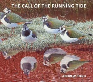 The Call of the Running Tide: An artist’s odyssey across four continents