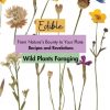 Edible Wild Plants Foraging: From Nature's Bounty to Your Plate: Recipes and Revelations