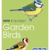 RSPB ID Spotlight – Garden Birds