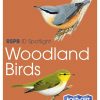 RSPB ID Spotlight - Woodland Birds