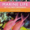 Marine Life of the Mediterranean
