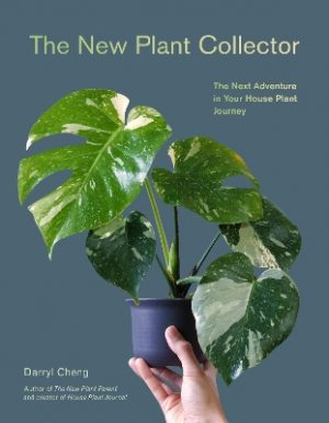 The New Plant Collector: The Next Adventure in Your House Plant Journey
