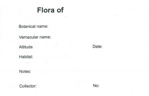 Botanical Mounting Labels