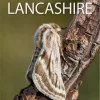 The Moths of Lancashire cover