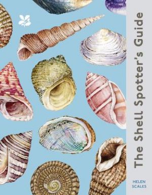 The Shell-spotter’s Guide (National Trust)