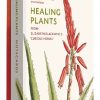 Healing Plants Detailed Notecard Set: From Elizabeth Blackwell's "Curious Herbal"