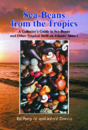 Sea-Beans From The Tropics