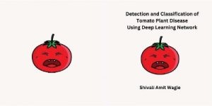 Detection and Classification of Tomato Plant Disease Using Deep Learning Network