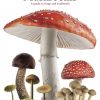 Mushrooms: A guide to fungi and toadstools