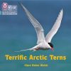 Terrific Arctic Terns: Phase 3 Set 2 (Big Cat Phonics for Little Wandle Letters and Sounds Revised)