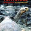 Tortoises of the World: Giants to Dwarfs
