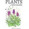 Plants of Holy Island