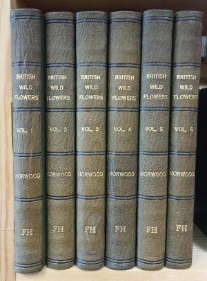 British Wild Flowers in their Natural Haunts (6 volume set)