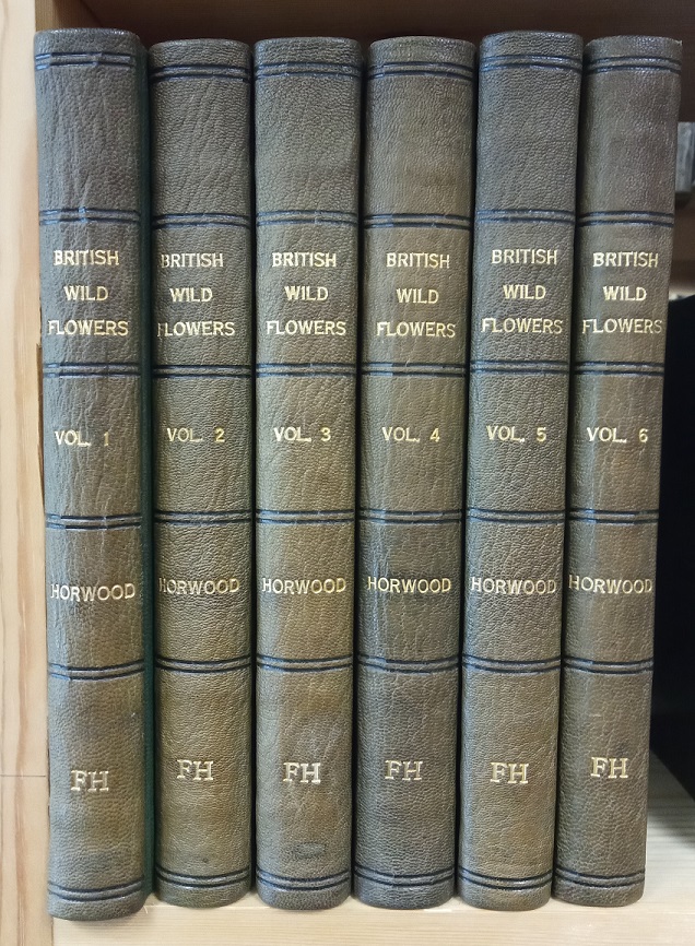 British Wild Flowers in their Natural Haunts (6 volume set)