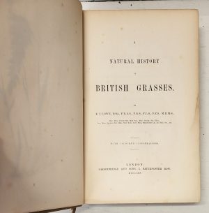 A Natural History of British Grasses - Image 2