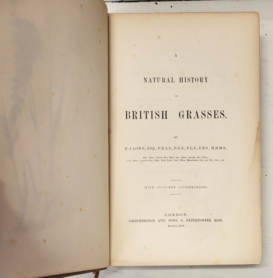 A Natural History of British Grasses - Image 2