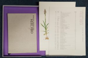 Orchis (Book and large solander case with 45 loose plates)