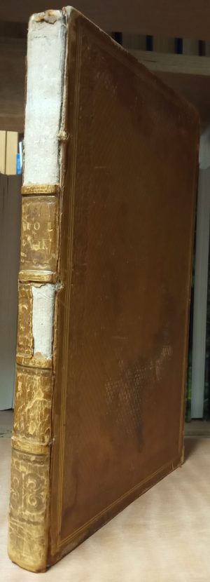 English Botany, vol. xii: Cryptogamia: Equisetum & Filices