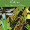 Ponds, Pools and Puddles (Collins New Naturalist Library)