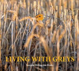 Living with Greys: Photographic celebration of the grey partridge