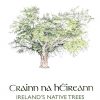 CRAINN NA HÉIREANN – IRELAND’S NATIVE TREES