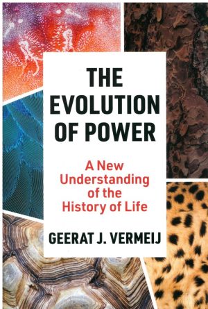The Evolution of Power: A New Understanding of the History of Life