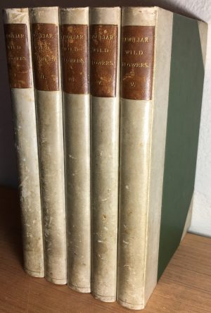 Familiar Wild Flowers (5 volume set)