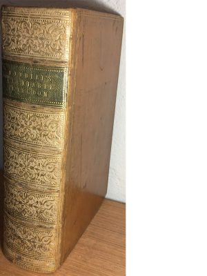 The Vegetable Kingdom