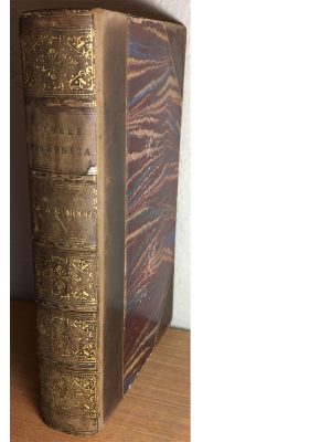 Contributions towards a Cybele Hibernica