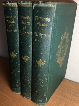 The Flowering Plants of Great Britain