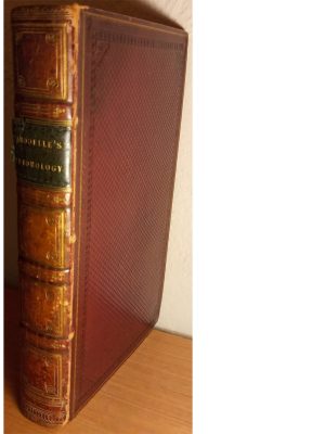 The Entomologists Useful Compendium: An introduction to the knowledge of British insects, comprising the means of obtaining and preserving them