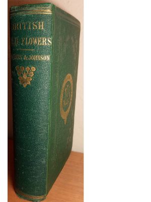 British Wild Flowers