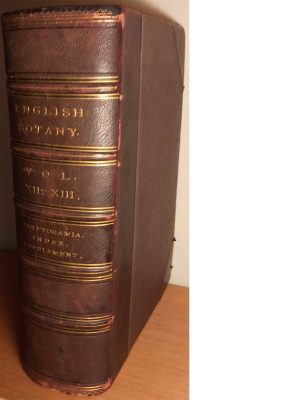 English Botany, vol. xii & xiii [in a single 12th volume (of 12)]