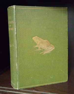 Life in Ponds and Streams