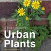 A Field Guide to Urban Plants: The Flora of Pavements, Walls and Waste Ground