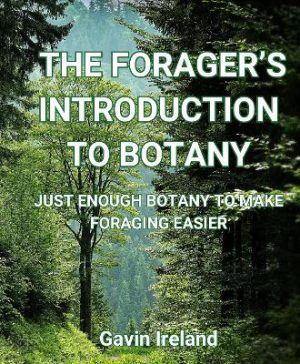 A Forager's Introduction to Botany: Learn just enough botany to make sense of plant science without being overwhelmed