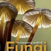 The Fascinating World of Fungi
