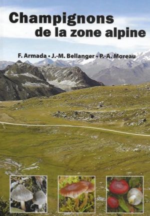 Champignons de la zone alpine
