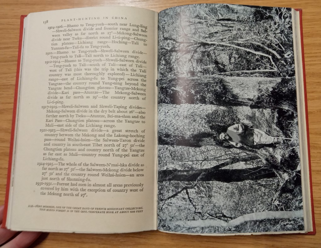 Plant Hunting in China - Image 2