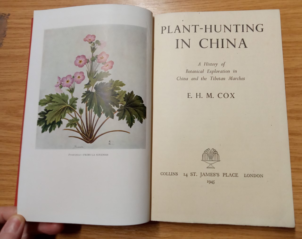 Plant Hunting in China - Image 4