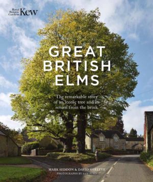 Great British Elms Book Cover