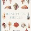 Beautiful Shells