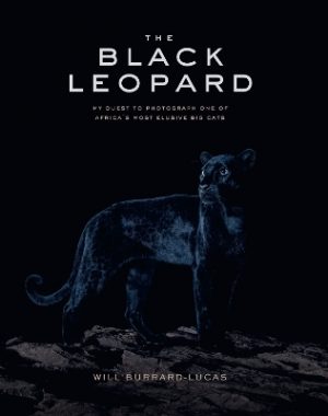 The Black Leopard: My Quest to Photograph One of Africa’s Most Elusive Big Cats