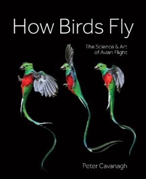 How Birds Fly: The Science and Art of Avian Flight